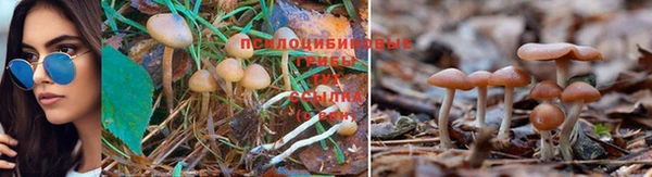 прущая мука Красноперекопск