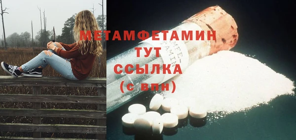крисы Кулебаки