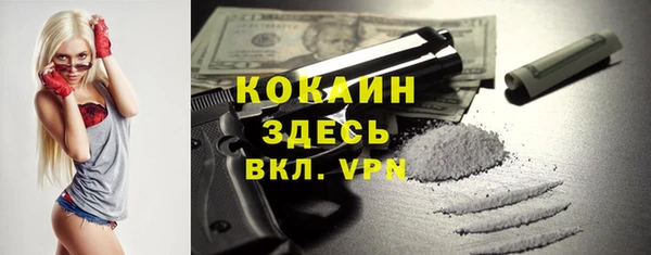 крисы Кулебаки
