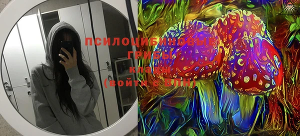 крисы Кулебаки
