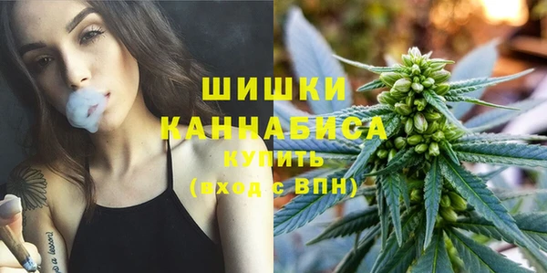 крисы Кулебаки