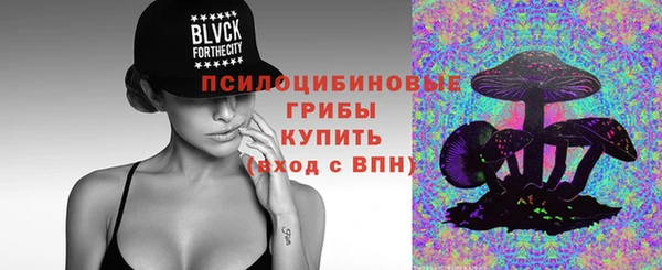 таблы Краснослободск