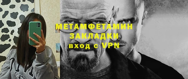 крисы Кулебаки