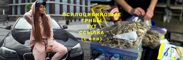 ешки Куйбышев