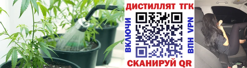 Дистиллят ТГК концентрат Можга