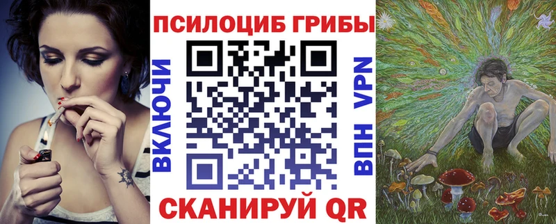 как найти   Можга  Галлюциногенные грибы прущие грибы 
