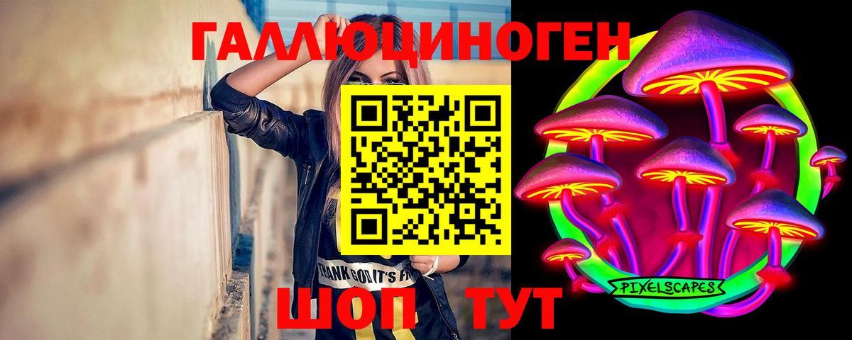 Псилоцибиновые грибы GOLDEN TEACHER Можга
