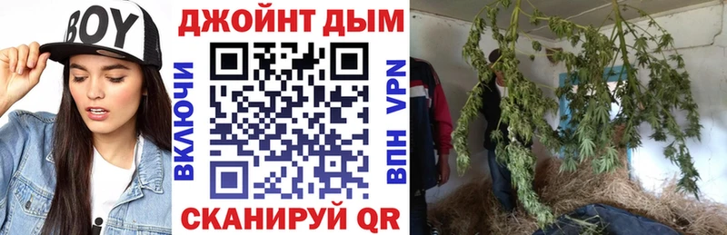 МАРИХУАНА OG Kush  купить   Можга 